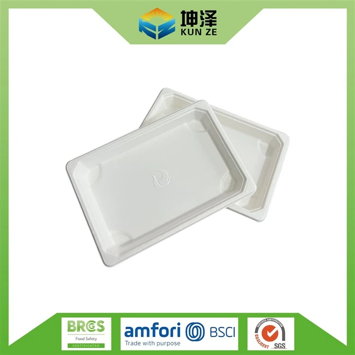Bagasse Sushi Tray