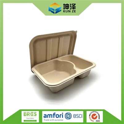 2 বগি খাবার ট্রে