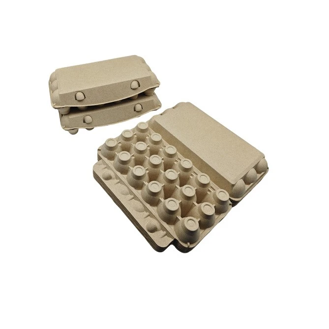 Eco Friendly Egg Cartons best
