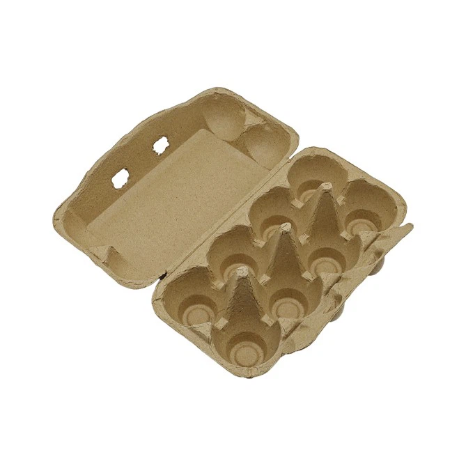 Eggs Carton