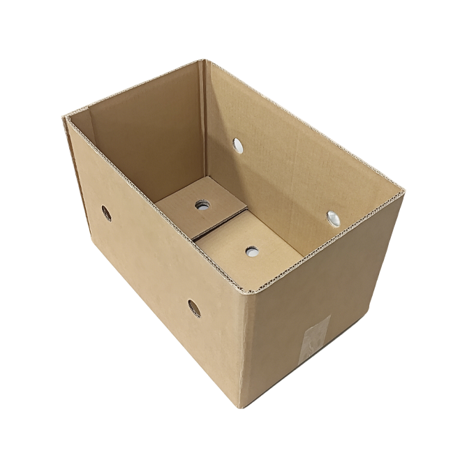 Lemon Packaging