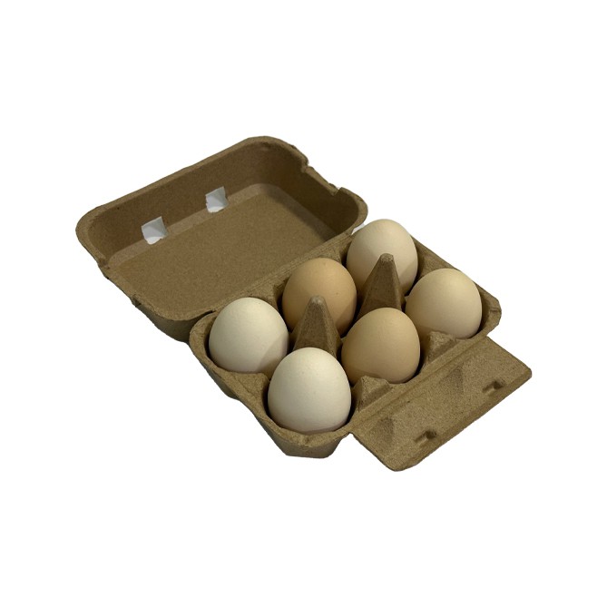 carton of eggs 06