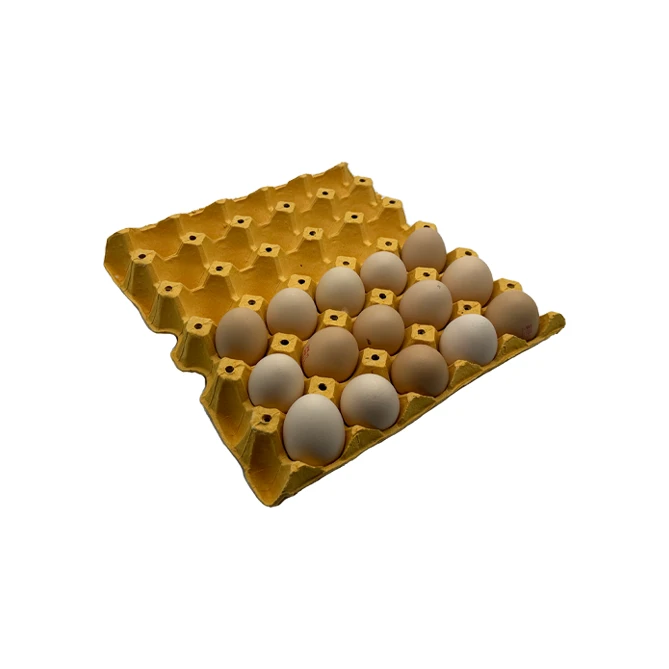Egg Cardboard Tray