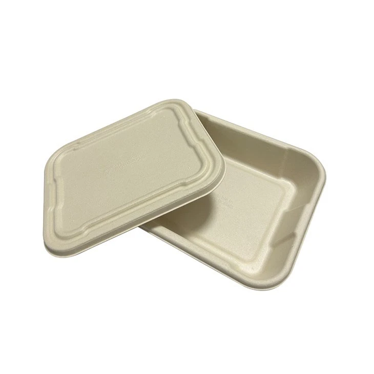 Vegetable Serving Tray With Lid